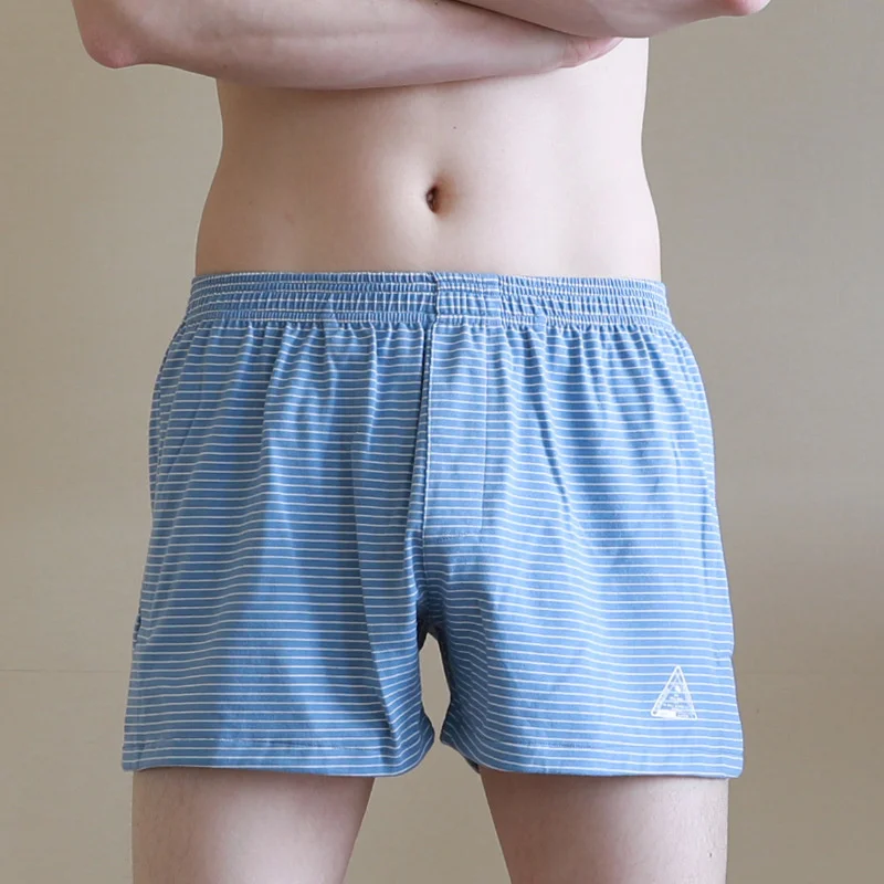 Sous-vêtements transparents en maille pour hommes, boxers élégants, respirants, Sexy, soie glacée, vente en gros, sous-vêtements gai, 378_voghion.com