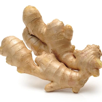 New Fresh Air Dried Ginger Wholesale From Chinese Fresh Ginger Root Market Suppliers Wholesale Price Fresh Ginger