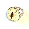 Yellow scorpion glow in the dark