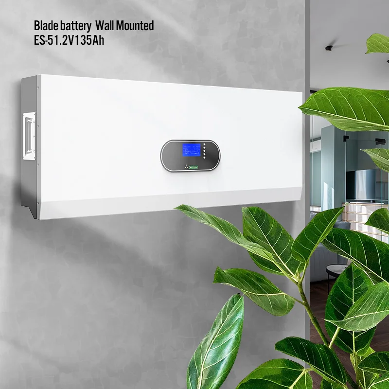 BYD Blade Battery - 48v 200ah Lifepo4 for Home Energy Storage