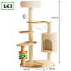 B63