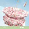 Hibiscus flower