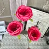 ZYJ2-Austin Leafless-Rose Red
