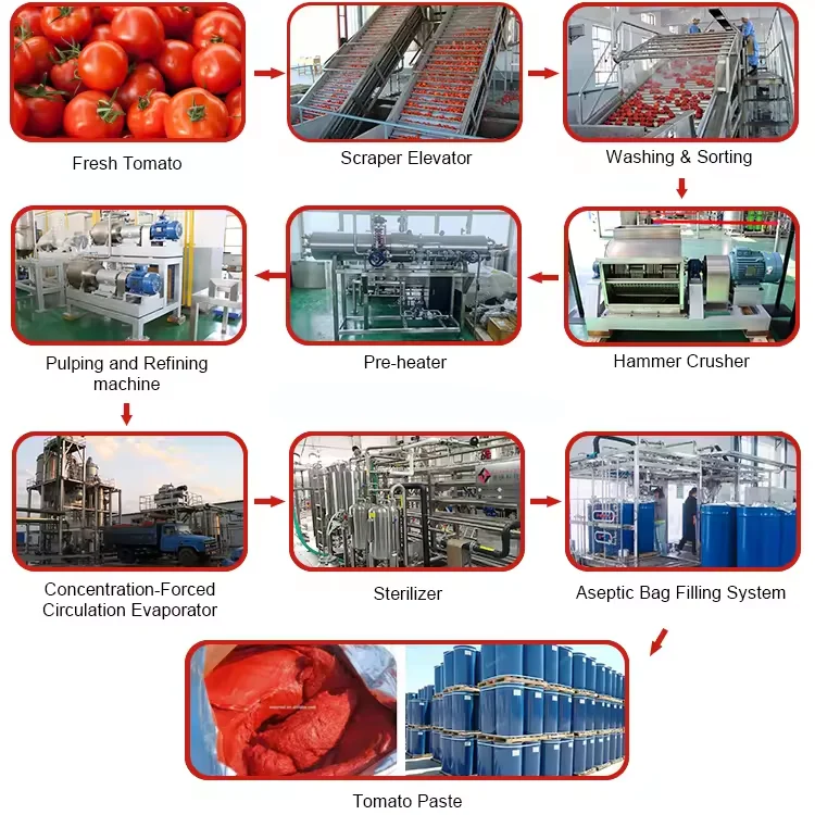 Custom Made Tomato Puree Making Machine Commercial Tomato Sauce Making Machine
