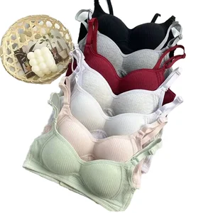 Junior and Senior High School Girls' One-Piece Breathable Wire-Free Push-Up Bra High Developmental Stage Thin and Comfortable
