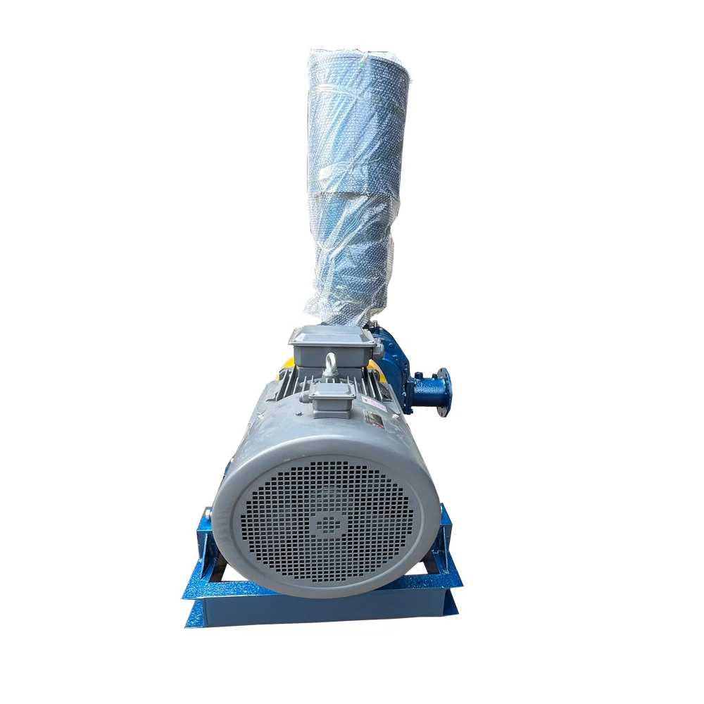 Factory Making Roots Blower used in pneumatic transportation system and sewage treatment system
