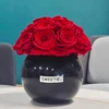 Rose dans le vase noir