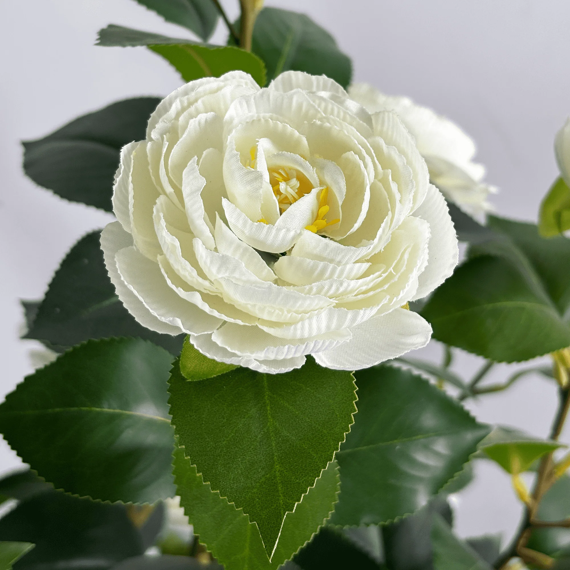 细节图1