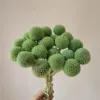 Tender green