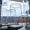 transparent