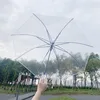 21 inch Transparent