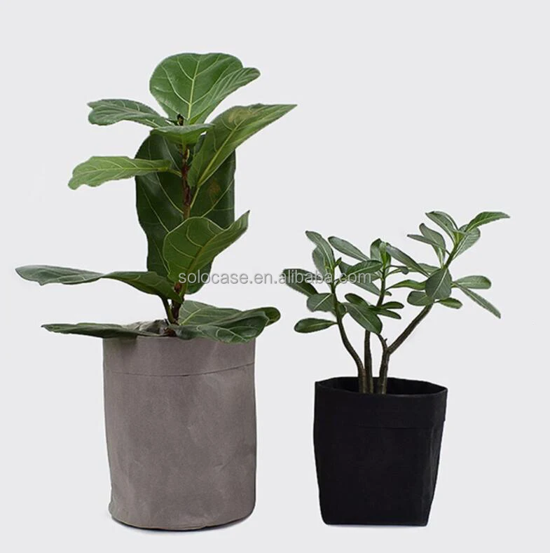 Unique Waterproof Food Paper Bag