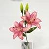 Two-headed lily