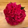 Dark Rose Red