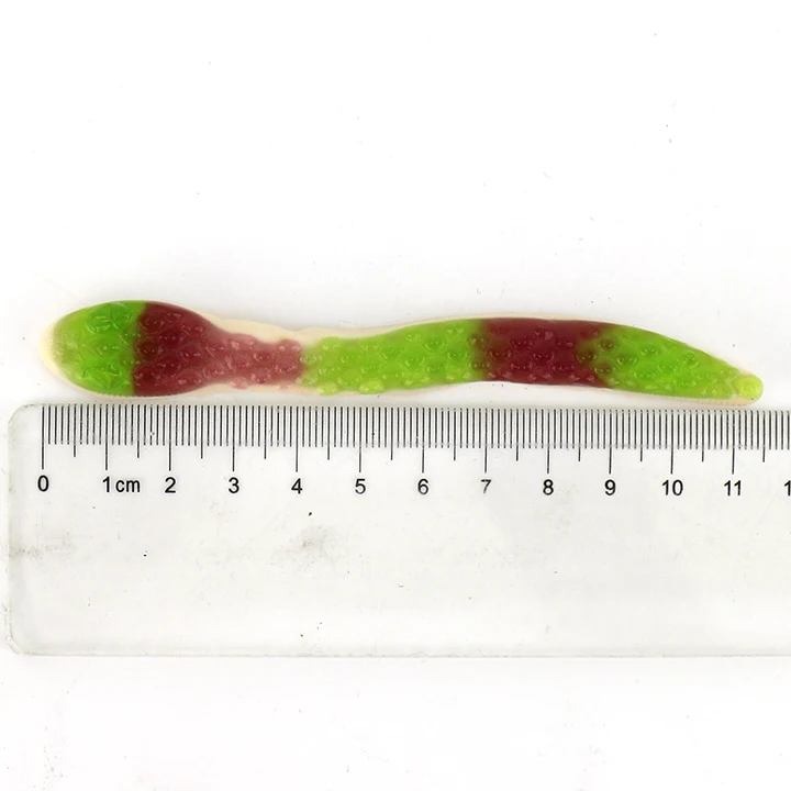 snake gummy candy