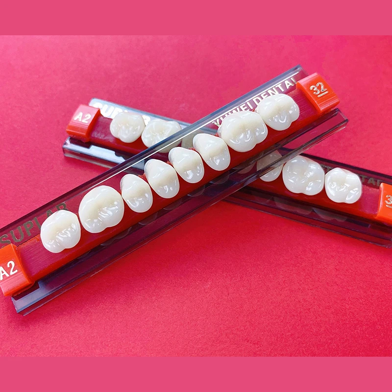 Dental Supplies Composite Acrylic Denture Synthetic Resin False Teeth