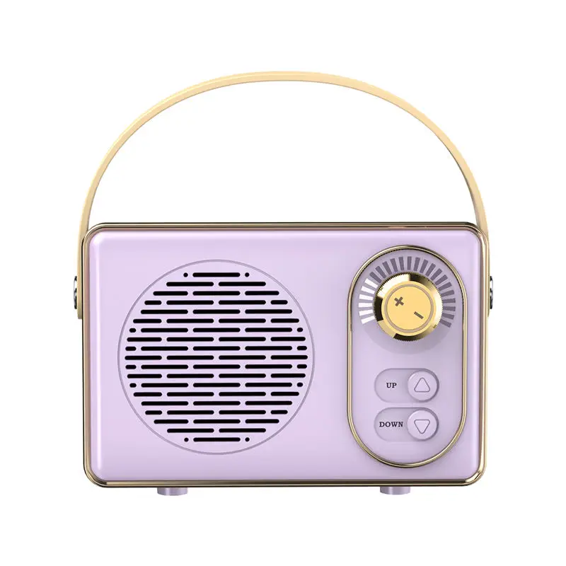Hot Products 2024 Convenient Singing Microphone Wireless Speaker