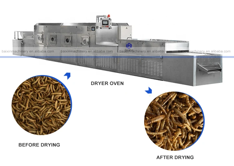 Microwave Black Soldier Fly Larvae Bsfl Bsf Drying Machine Buy Buy Black Soldier Fly Larvae