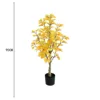 90cm autumn ginkgo tree