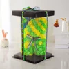 Brazil Bear+Gift Box