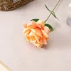 Una rama de color naranja cálido