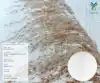 Woven Flax Textile