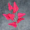 Fuchsia feuille de calla