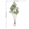 Army Green XY2508-3926 210CM