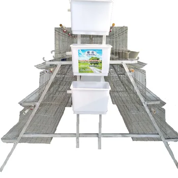 Wholesale automatic four tiered poultry cage and egg chicken breeding