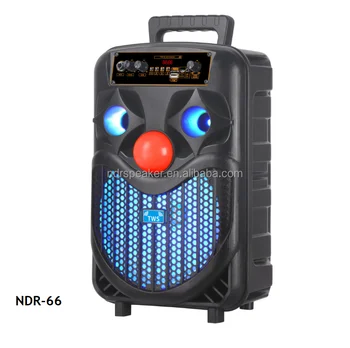 Cheap Model 8inch Subwoofer Portable Party Music Karaoke Speaker NDR-P66