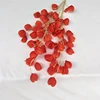 Rojo, StyleB #10