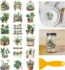 Plantas en maceta verde