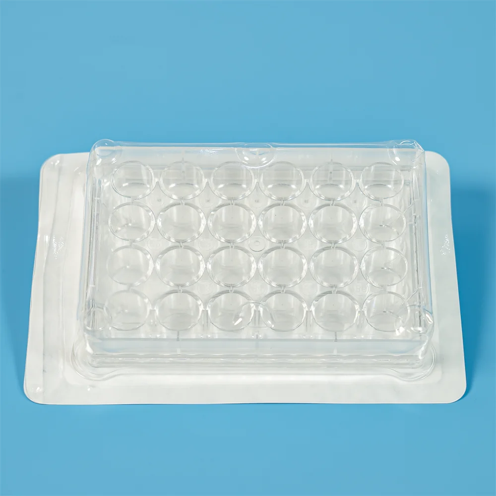 Wells In Lab Laboratory Dnase Rnase Free Disposable 6 12 24 48 96 Wells Laboratory ...