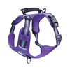 Violet (Mise à niveau)