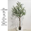 Olivo de 150 cm (tronco grueso)
