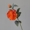 สีส้ม