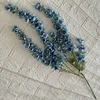 Glicine 8