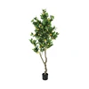 Verde 180cm