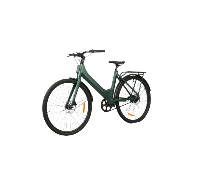 Women Road Bike Ebike Electric City Bicycle Fixed Gear Electric Bike