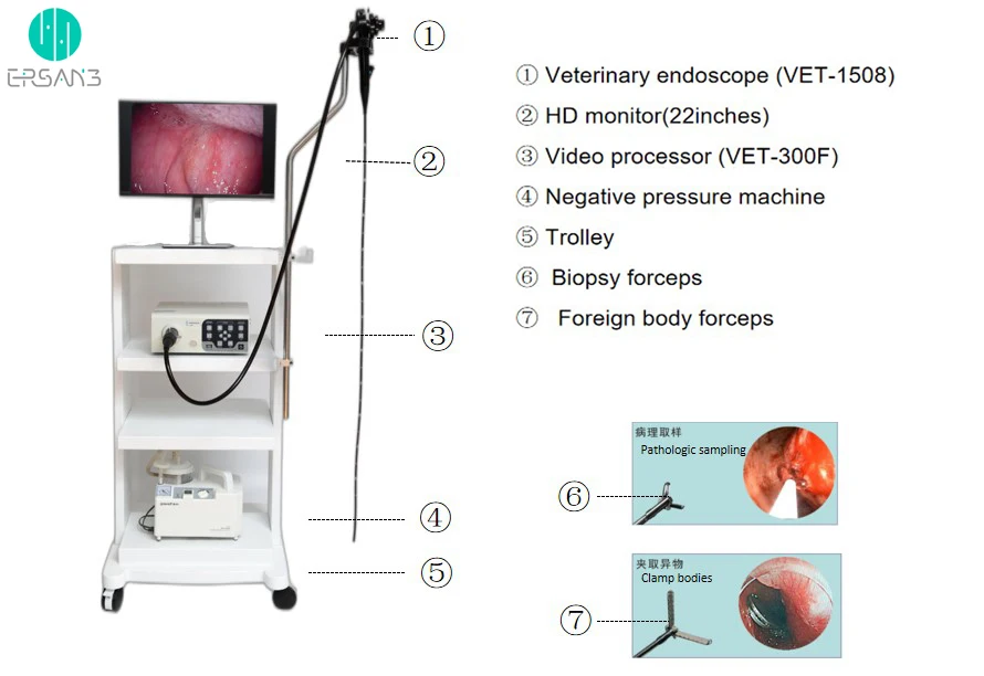 Factory Price Endoscopic Camera Gastroscopy Endoscopy 6.3mm 1080p Video Endoscope Veterinary