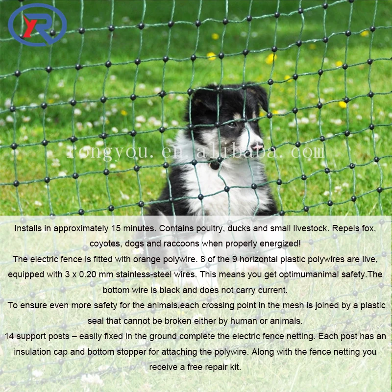 Electric Chicken Protection Soft Netting Fencing Buy Soft Fencing,Cow