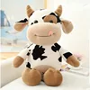 Vache nue noire et blanche