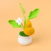 gourd potted plant