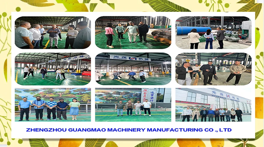 Fully Automatic Egg Tray Making Machinery, Directly Sold By Suppliers factory