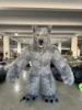 grigio