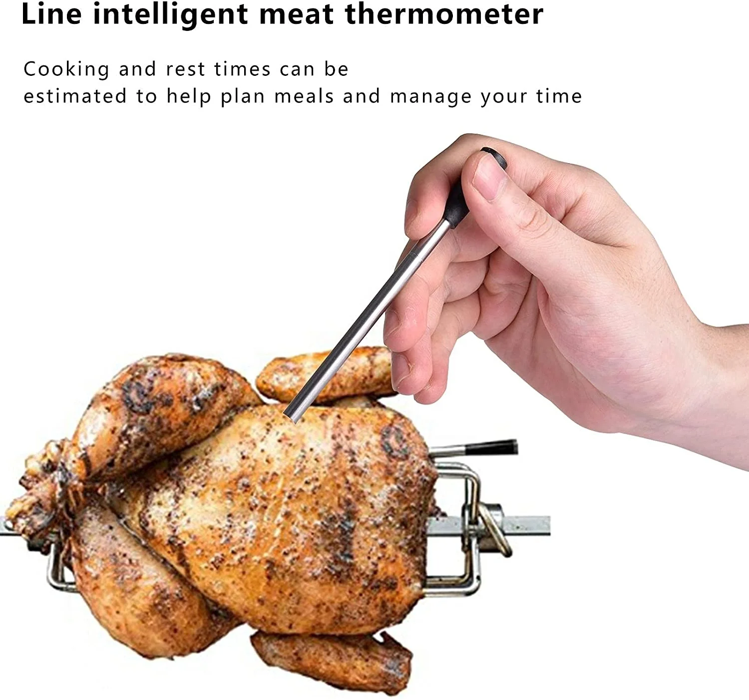 Wireless Meat Thermometer Smoker  Wireless Digital Bbq Thermomete - Pro03  Digital - Aliexpress
