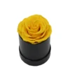 Giallo