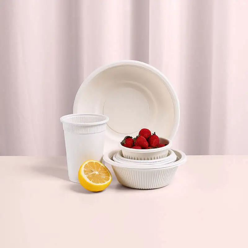 Decorative Disposable Plates Plate Food Service School Trays For Sale