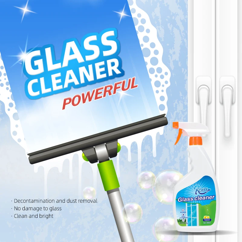 Eco-friendly Pleasant Smell 500ml Glass Cleaner Contact Lens Liquid Detergent Manufacturer