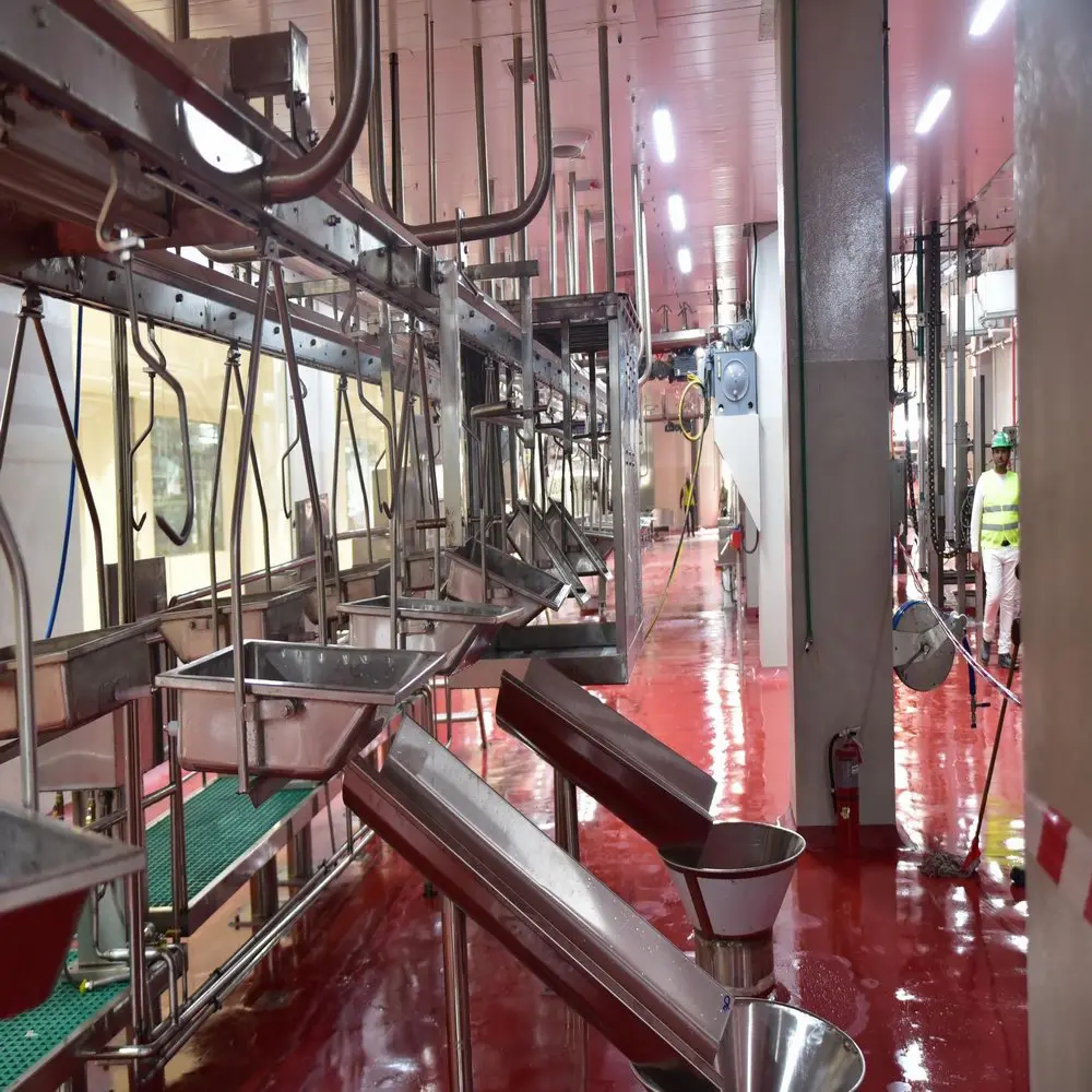 Full Set Sheep Halal Slaughter Line With Slaughter Machine for Butcher Plant